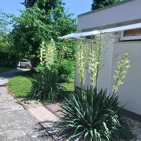 Mikszath Apartman Lägenhet *